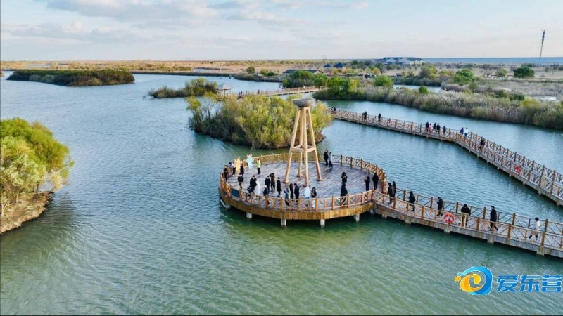 时期这一数 时期这一数